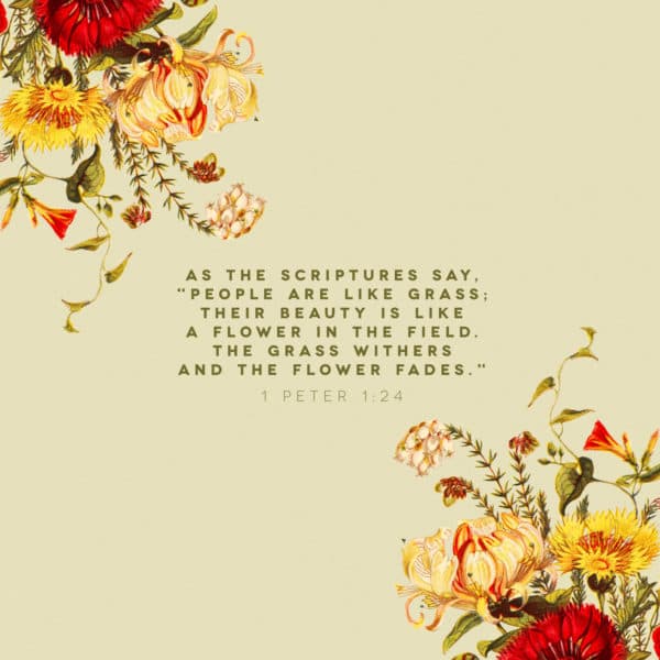 As the Scriptures say, “People are like grass; their beauty is like a flower in the field. The grass withers an...