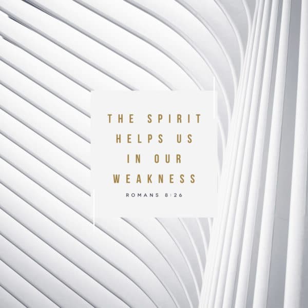 The Spirit helps us in our weakness. – Romans 8:26
