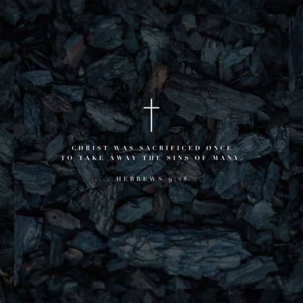 Christ was sacrificed once to take away the sins of many. – Hebrews 9:28