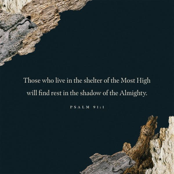 Those who live in the shelter of the Most High will find rest in the shadow of the Almighty. – Psalm 91:1