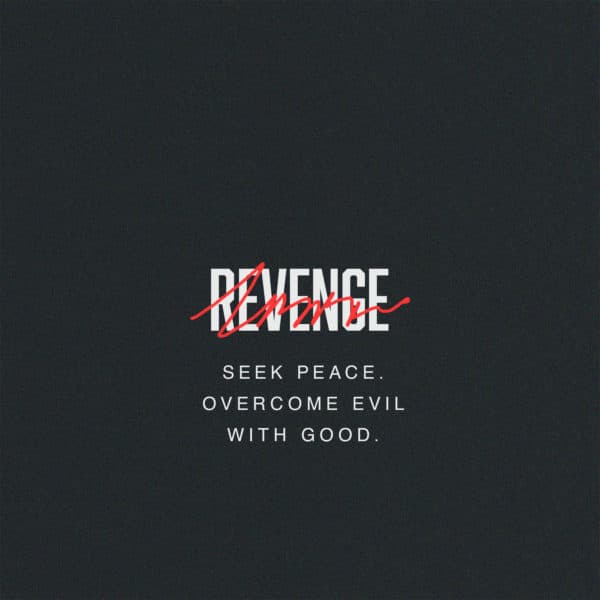 Seek peace. Overcome evil with good.