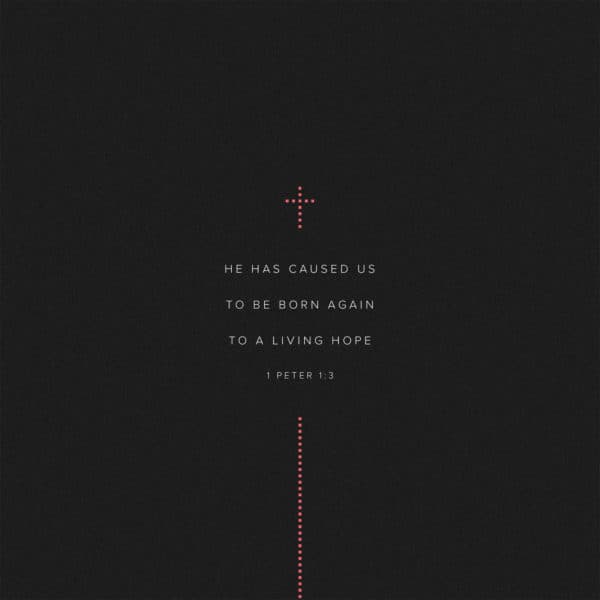 He has caused us to be born again to a living hope – 1 Peter 1:3