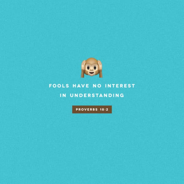 Fools have no interest in understanding – Proverbs 18:2
