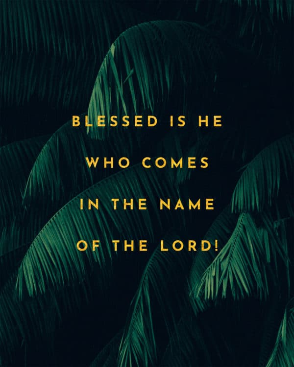 Blessed is he who comes in the name of the Lord!