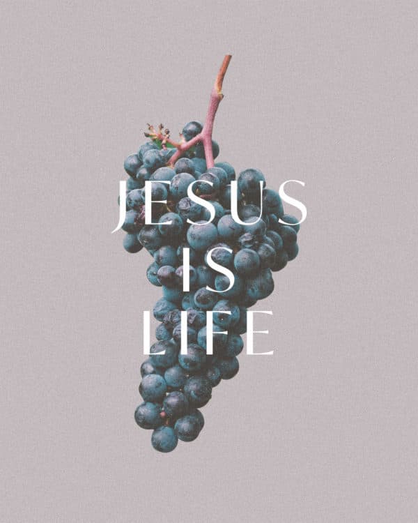 Jesus is Life