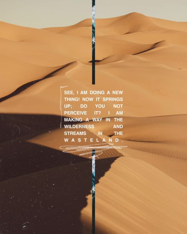 See, I am doing a new thing! Now it springs up; do you not perceive it? I am making a way in the wilderness and strea...