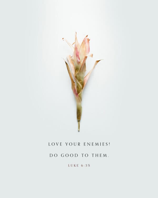 Love your enemies! Do good to them. – Luke 6:35
