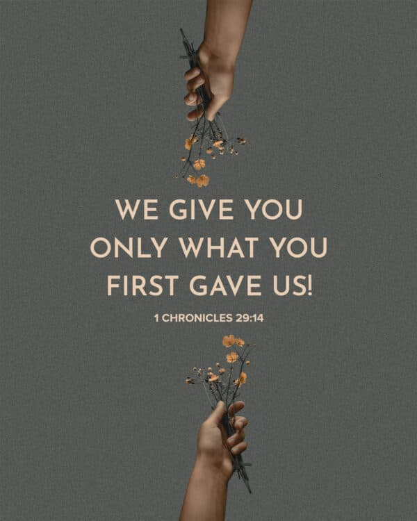 We give you only what you first gave us! – 1 Chronicles 29:14