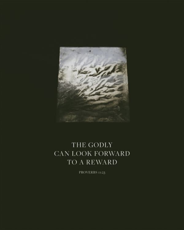 The godly can look forward to a reward. – Proverbs 11:23
