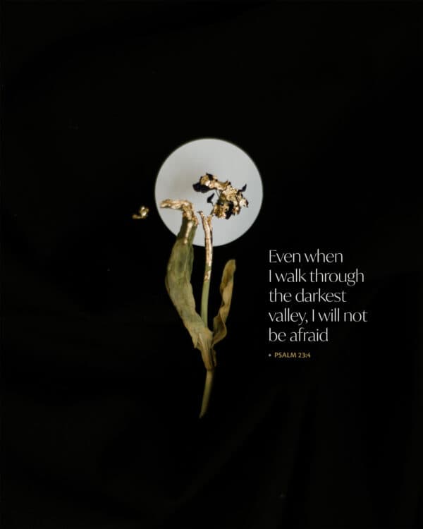Even when I walk through the darkest valley, I will not be afraid. – Psalm 23:4