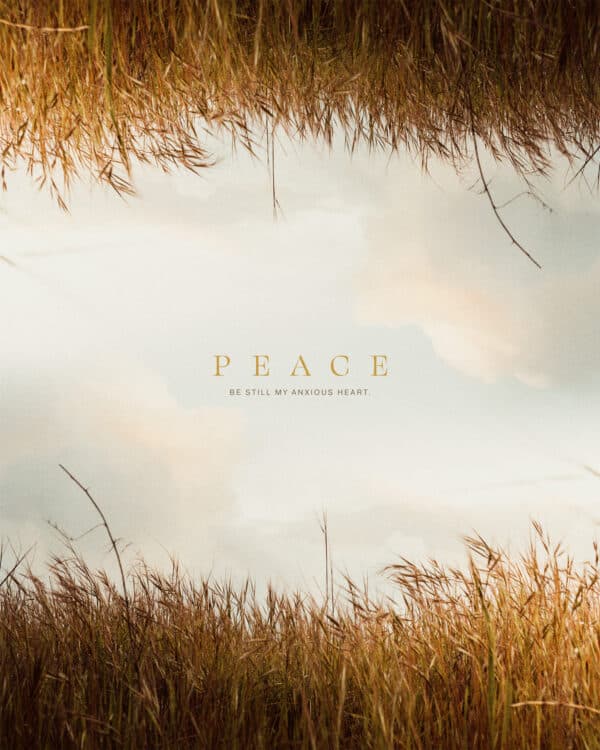 Peace. Be still, my anxious heart.