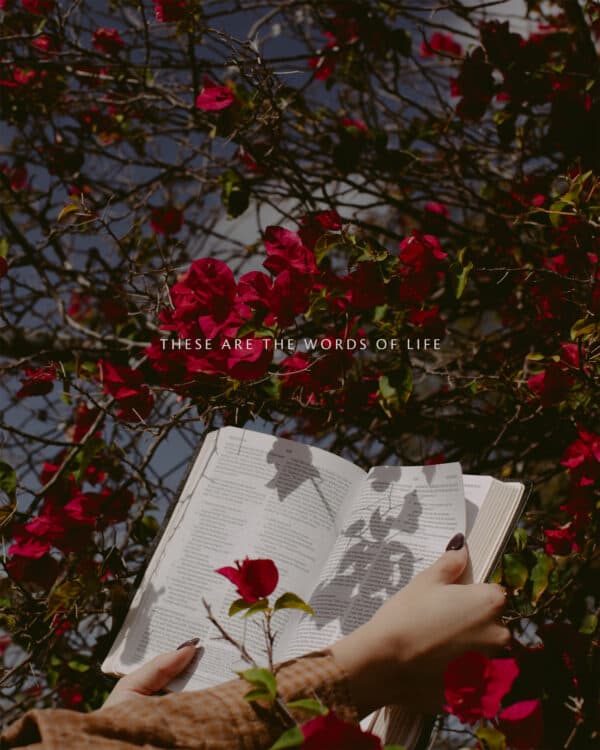 These are the words of life