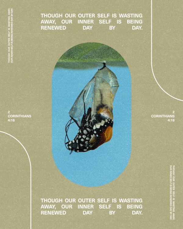 Though our outer self is wasting away, our inner self is being renewed day by day. – 2 Corinthians 4:16