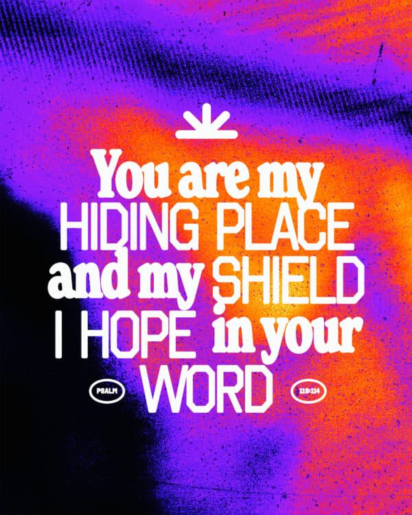 “You are my hiding place and my shield; I hope in your word.” – Psalm 119:114