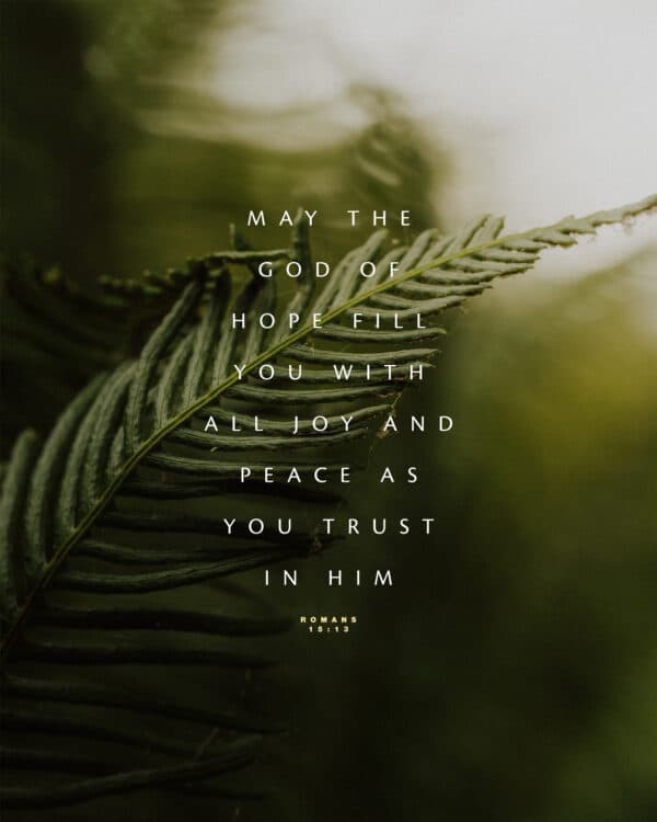 “May the God of hope fill you with all joy and peace as you trust in him.” – Romans 15:13