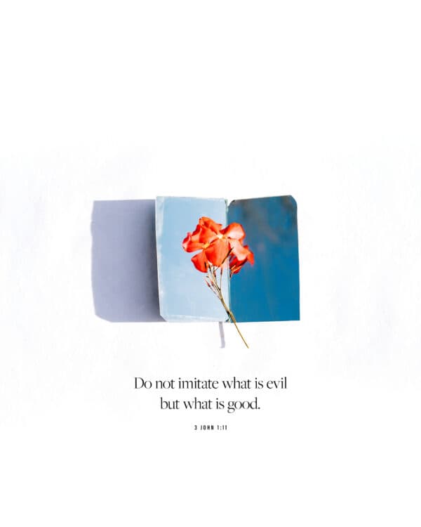 “Do not imitate what is evil but what is good.” – 3 John 1:11